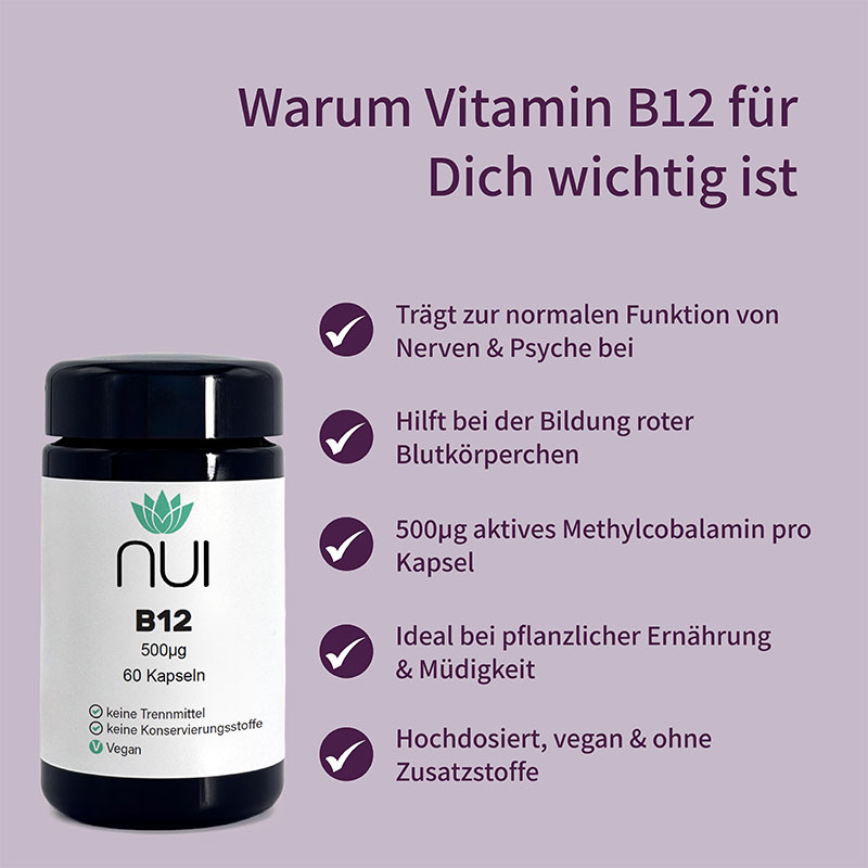 Infotafel mit fünf Haken-Stichpunkten, links Vitamin B12 Kapselglas
